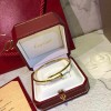 Cartier Juste Un Clou Bracelet SM