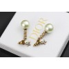 Dior long earings 002