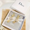 Dior long earings 003