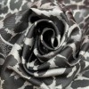 Dior Mizza Scarf 90