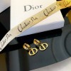 Dior earings 04