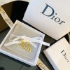 Dior earings 04