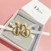 Dior earings 07