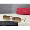 Catier sunglasses