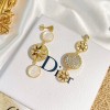 Dior long earings 003