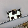 Bottega Veneta Handbag 5647