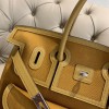 Hermes Birkin 35 Cargo Swift Yellow Marine Silver Hardware Bag