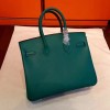 Hermes birkin 2938