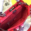 Fendi PEEKABOO 1905