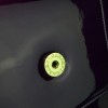 Bvlgari serpenti forever 851