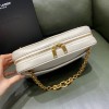 YSL Le Maillon Small Chain bag