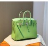 Hermes togo green mint crocodile 25cm