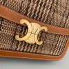 Celine Embroidery Calfskin Triiomphe Brown Bag