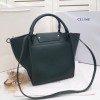 Celine Small Bag Tote green 183313