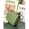 Loewe Goya leather shoulder bag in green