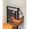 LOEWE Brown Luna Bag