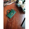 D&G calfskin crystal DG logo patch green handbag