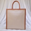Celine Vertical Canvas calfskin 190402
