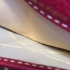 Delvaux Sellier Brillant 1480