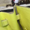 Hermes Birkin 2779