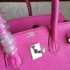 Hermes birkin 2930