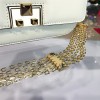 Valentino shoulder bag 4534