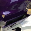 Bvlgari serpenti forever 850