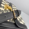 Celine Embroidery Calfskin Triiomphe Bag