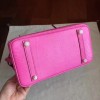 Hermes birkin 2930