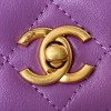 Chanel woc wallet on chain gold 19cm purple