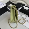 Chanel woc flap caviar leather bag green AP794 2020