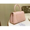 Chanel Coco Pink Python Mini Bag