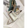 Chanel Classic Handbag Iridescent Ivory silver hardware 25cm