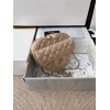 Chanel New Heart Shaped Bag AS2060