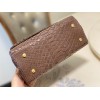 Chanel Coco Brown Python Mini Bag