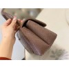 Chanel Coco Brown Python Mini Bag