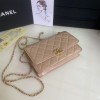 Chanel WOC AP2289