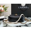 Chanel classic flap bag with pearl