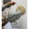 Dior Saddle Oblique Gray 26cm