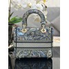 Dior Lady Medium Jardin Magique Embroidery Blue Bag