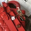 Lady Dior 1623