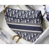 Dior Saddle Bag