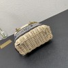 Dior lady raffia small blue bag
