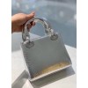 Dior Lady mini bag silver metallic snake leather bag