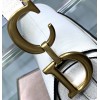 Dior Saddle Bag