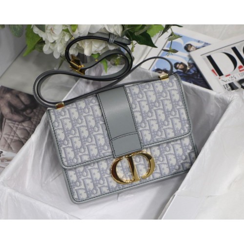 Dior Montaigne Oblique gray bag