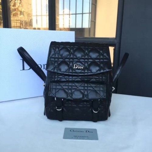 Dior backpack