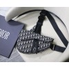 Saddle Oblique bag