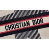 Dior Tote Book Emroided White Star 41 cm