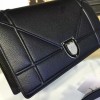 Dior ama 1730